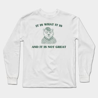 It Is What It Is And It Is Not Great , funny meme bear saying Long Sleeve T-Shirt